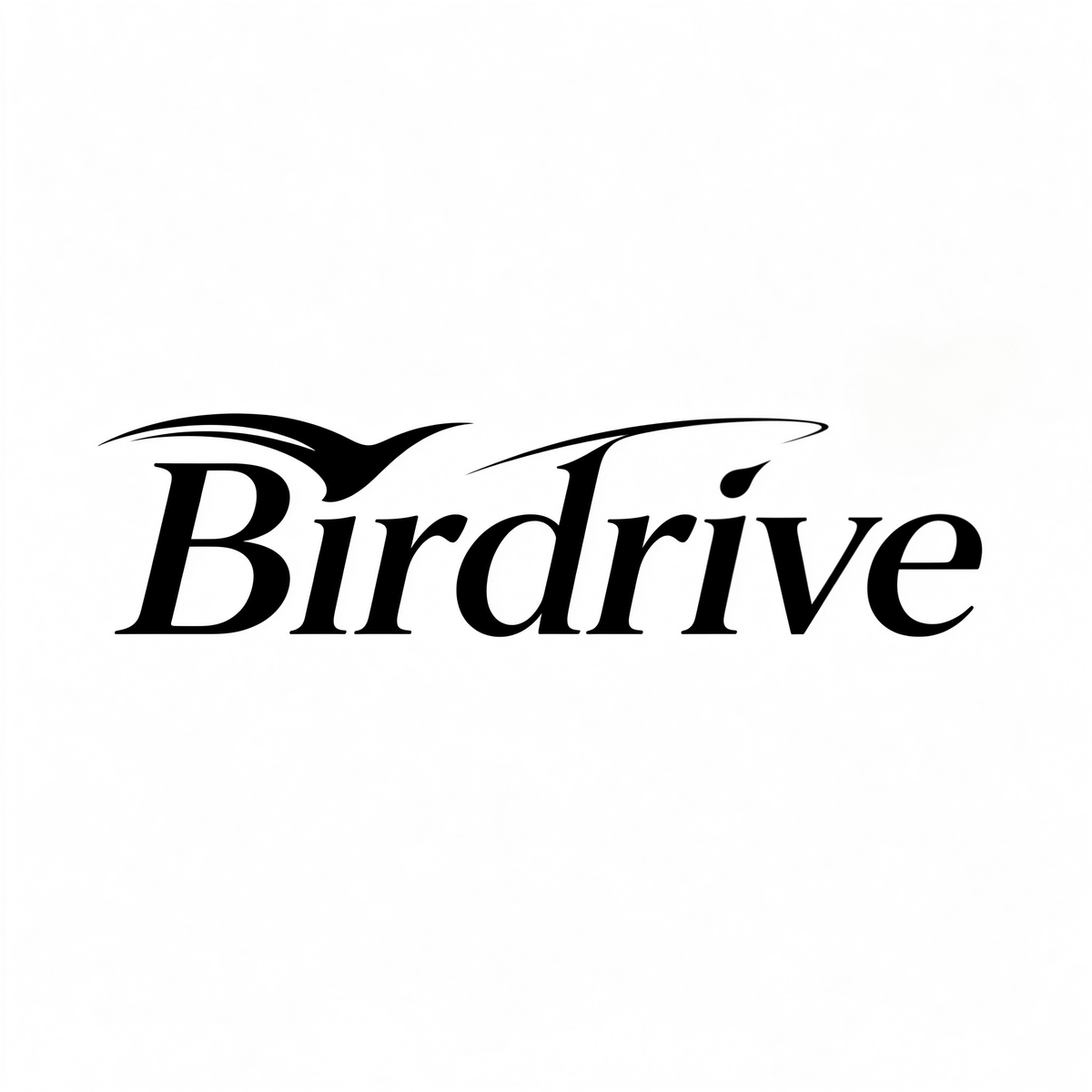 Birdrive Premium Faux Leather Car Seat Cover, Breathable Perforated Vehicle Seat Cushion, Ergonomic Auto Seat Protector for Sedan SUV Truck Interior Decoration