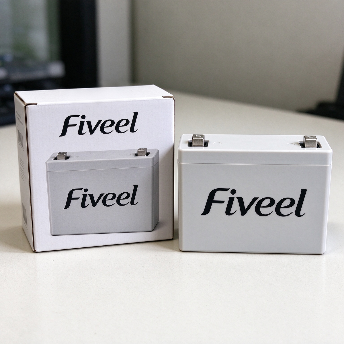 Fiveel Rechargeable Sealed Lead Acid Battery, Stable Performance Replacement Battery for Security Alarm System, Emergency Lights, Toys and Small Electronic Devices