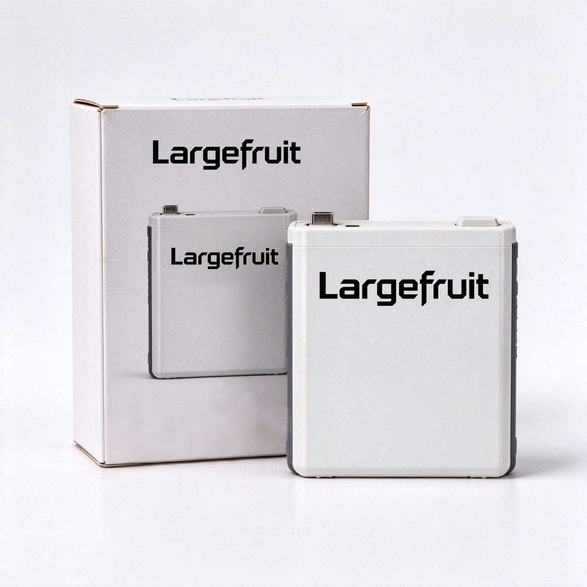 Largefruit Rechargeable Lithium Battery, High Capacity Stable Output Fast Charging Battery, Universal Portable Battery for Digital & Outdoor Devices