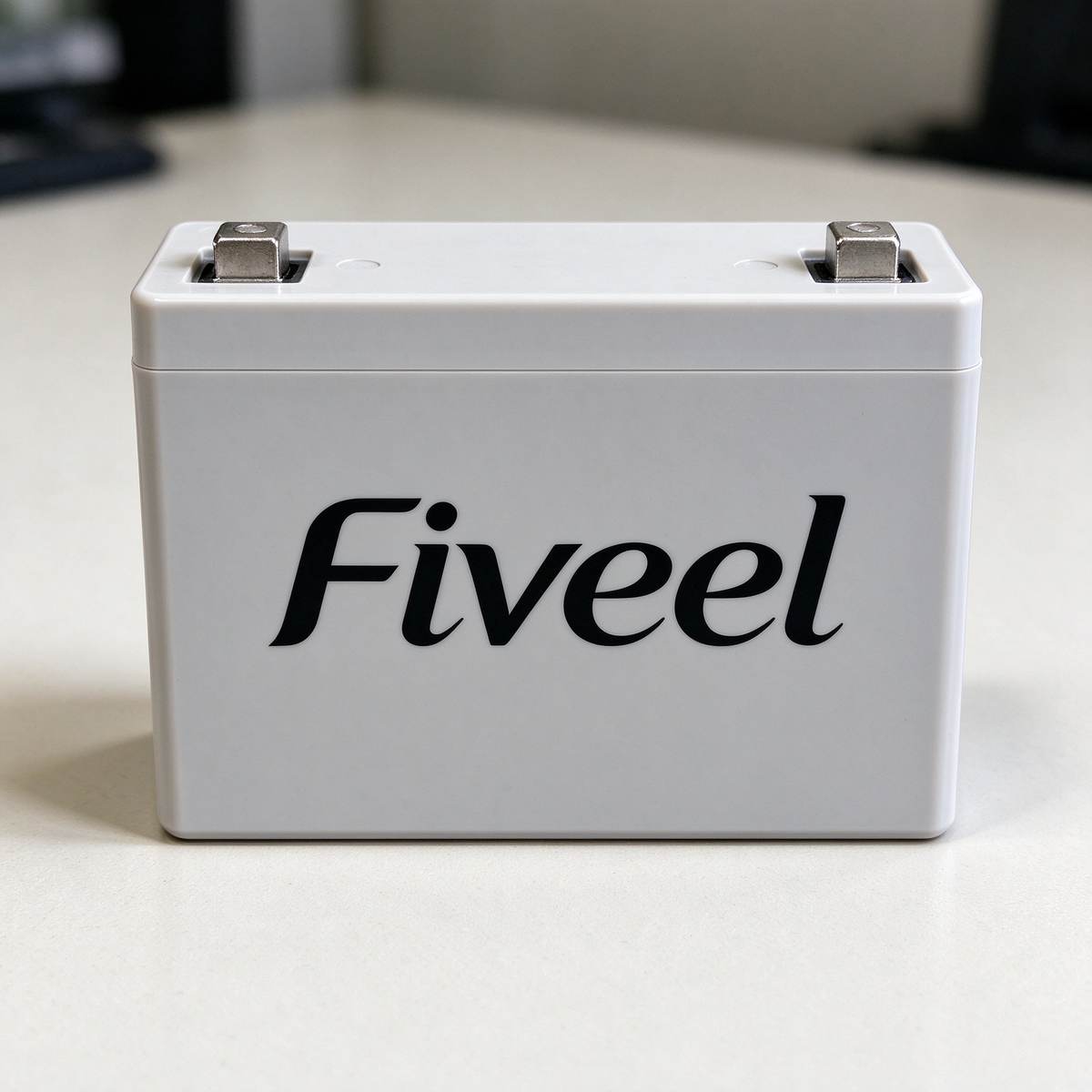 Fiveel Rechargeable Sealed Lead Acid Battery, Stable Performance Replacement Battery for Security Alarm System, Emergency Lights, Toys and Small Electronic Devices