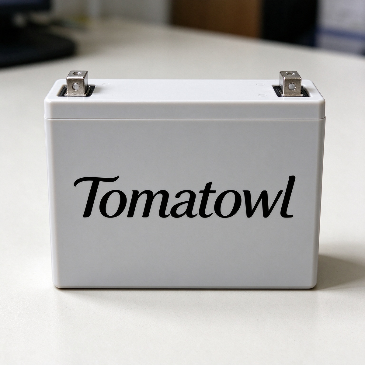 Tomatowl Rechargeable Sealed Lead Acid Replacement Battery, Stable Voltage Backup Battery for Home Alarm Systems, Emergency Lights, Electric Toys and Small Electronic Equipment