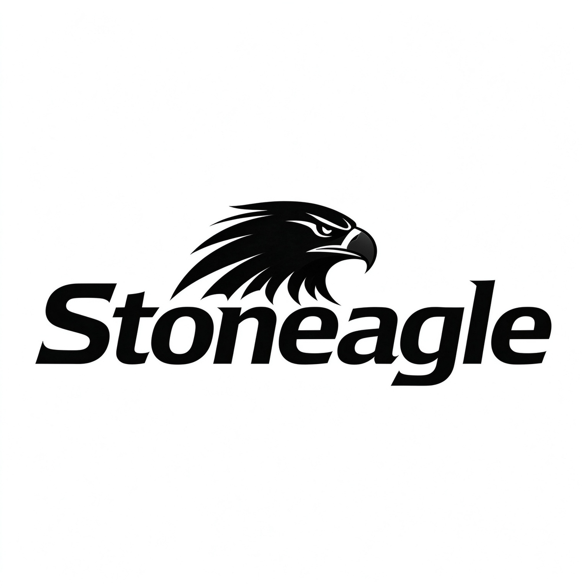 Stoneagle Tankless Instant Water Heater, Digital Display On Demand Hot ...