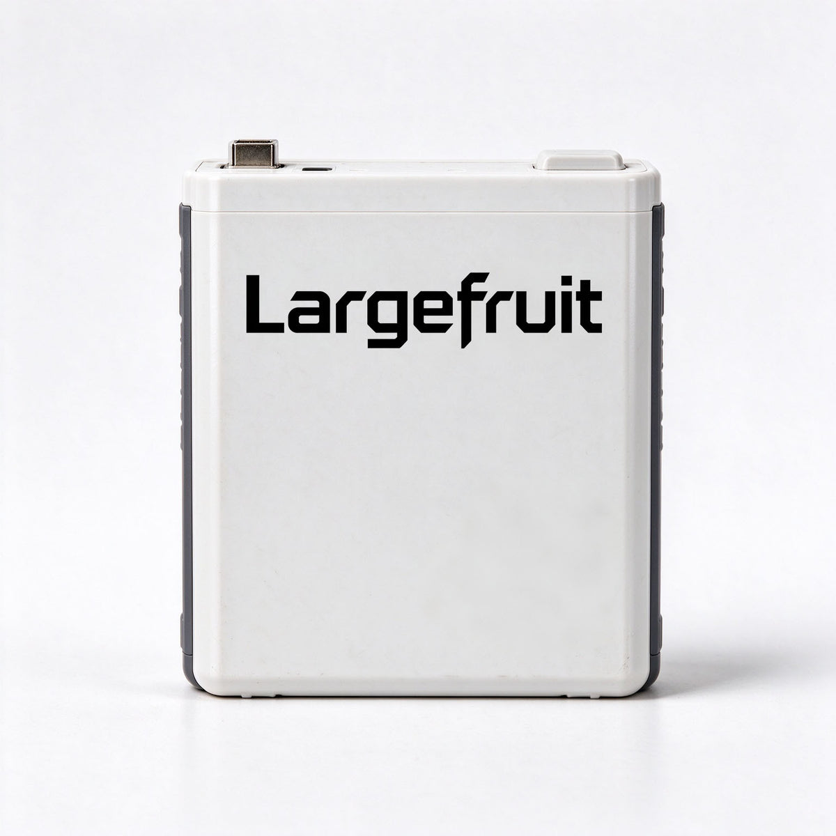 Largefruit Rechargeable Lithium Battery, High Capacity Stable Output Fast Charging Battery, Universal Portable Battery for Digital & Outdoor Devices